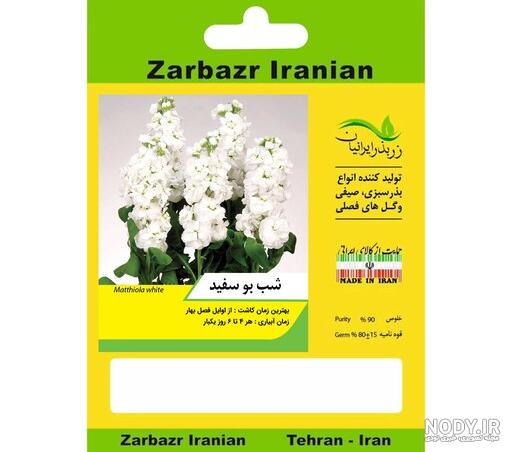 عکس شب گل - عکس نودی عکس شب گل - عکس نودی