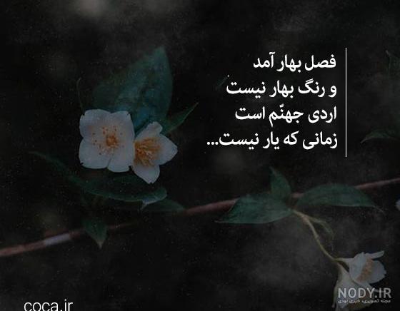 عکس عاشقانه علیرضا نیکبخت و همسر جذابش | عاشقانه آقای فوتبالیست و همسرش دل همه را برد عکس عاشقانه علیرضا نیکبخت و همسر جذابش | عاشقانه آقای فوتبالیست و همسرش دل همه را برد