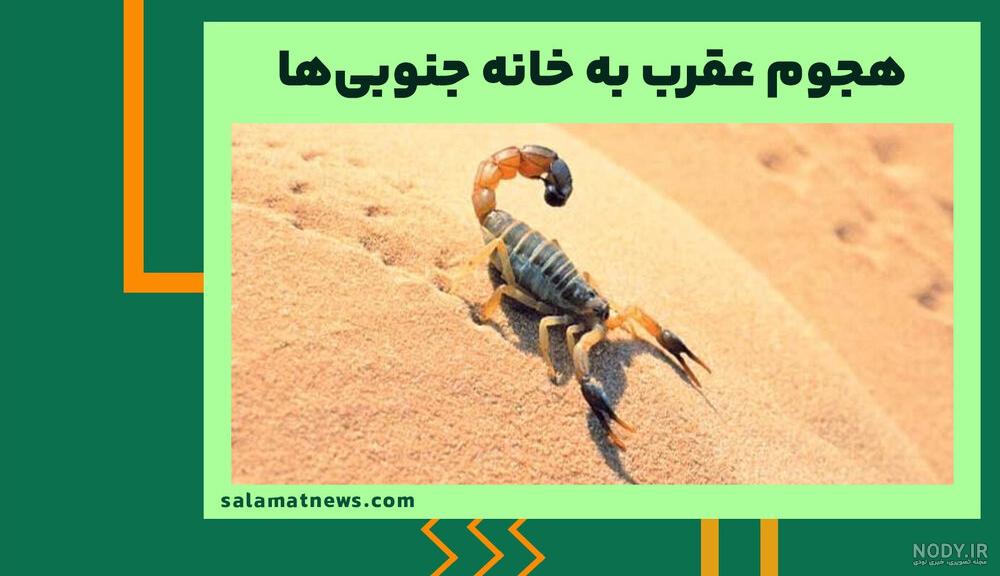 عکس عقرب بزرگ