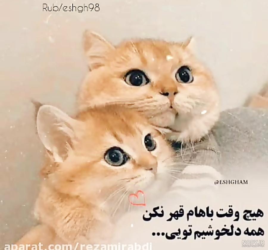 عکس نوشته آشتی کردن عاشقانه برای پروفایل - تــــــــوپ تـــــــــاپ