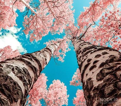 عکس نوشته خدا 1402 برای پروفایل واتساپ + عکس نوشته خدا بزرگه عکس نوشته خدا 1402 برای پروفایل واتساپ + عکس نوشته خدا بزرگه