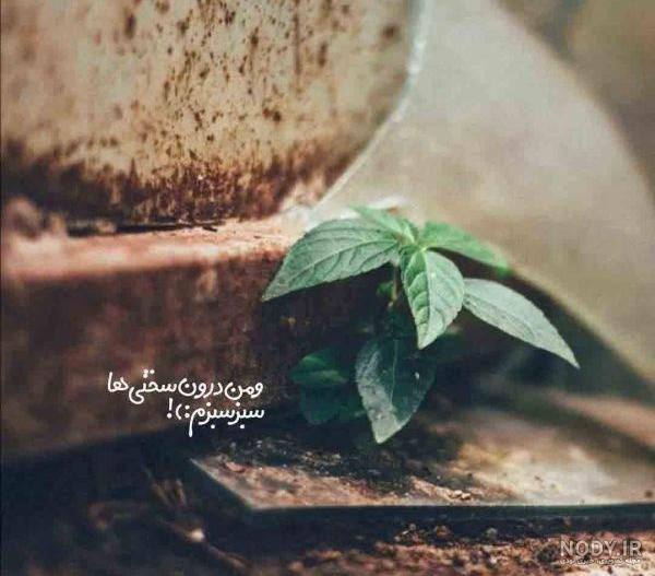 عکس نوشته خنده دار جدید برای استوری اینستاگرام