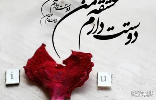 عکس نوشته های عاشقانه دونفره دوستت دارم (۲)