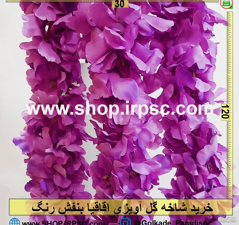 عکس گل اقاقیا