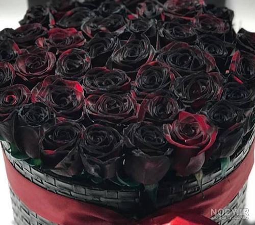 عکس گل برای پروفایل سیاه - عکس نودی