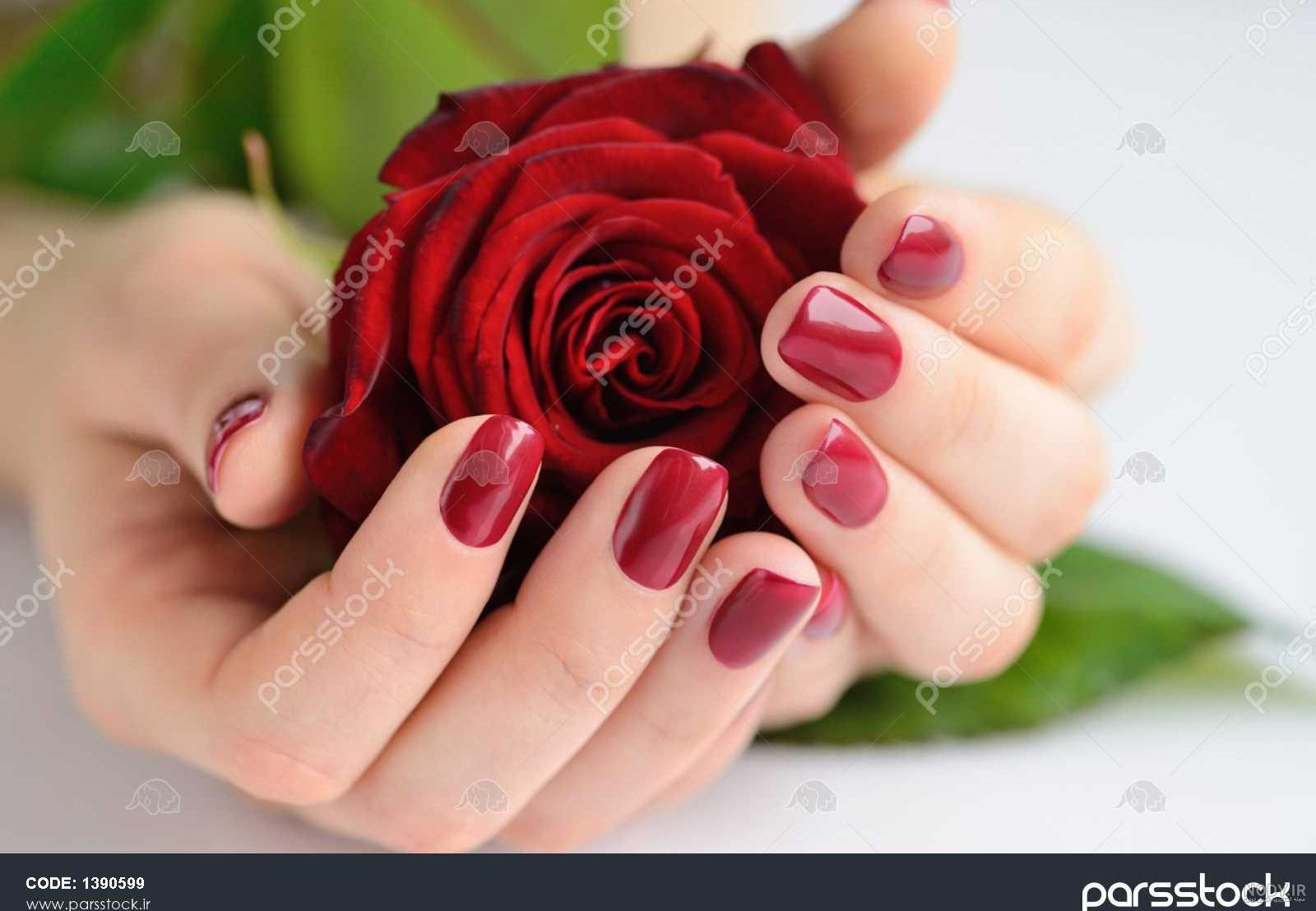 عکس گل در دست دختر