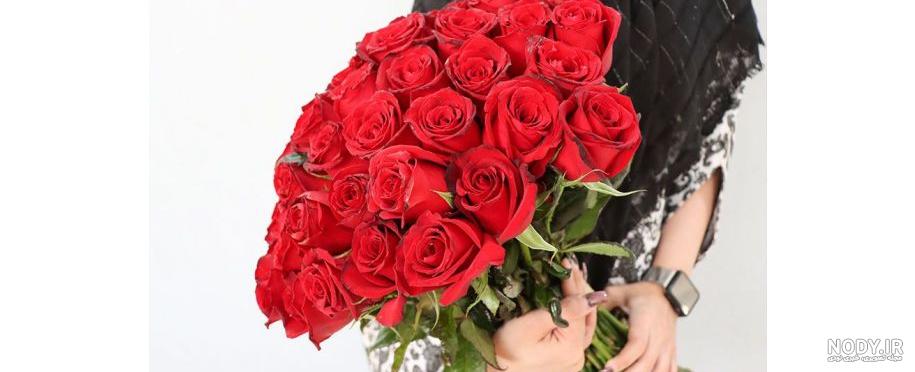 عکس گل رز سرخ دخترانه