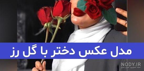 عکس گل رز قرمز عاشقانه + عکس گل رز قرمز با زمینه مشکی