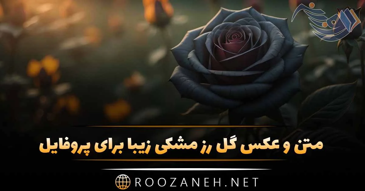 عکس گل رز مشکی زیبا برای پروفایل + تصاویر 30 گل زیبای رز عاشقانه سیاه
