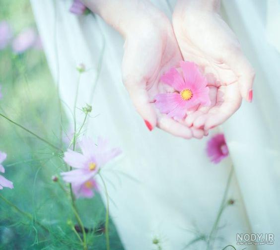 عکس گل زیبا در دست دختر برای پروفایل