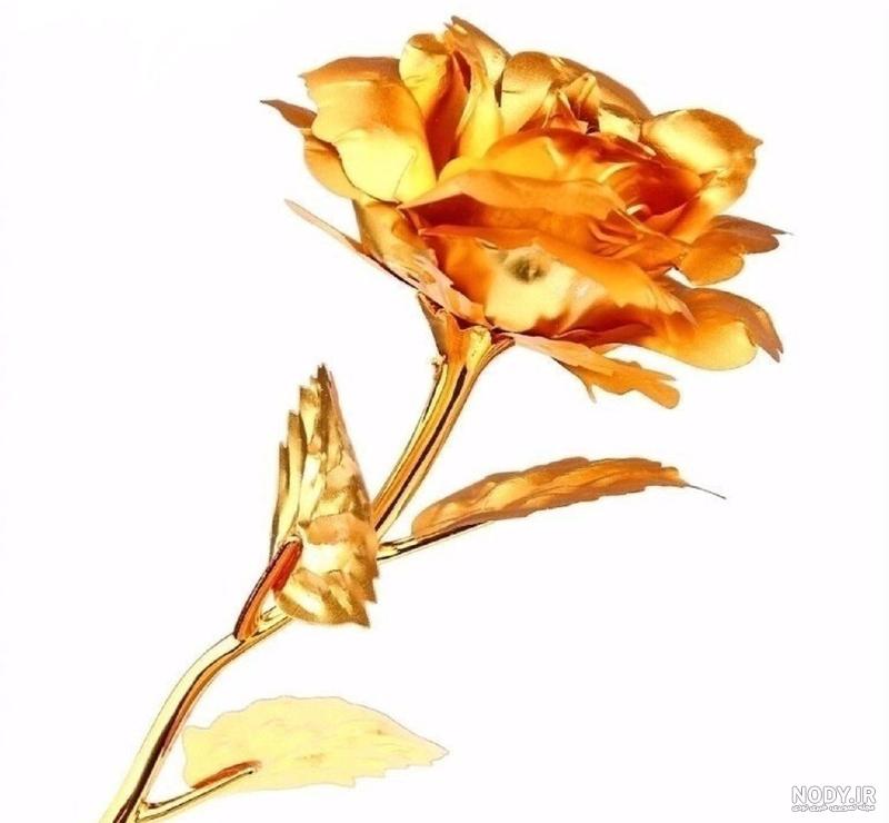 عکس گل طلایی واقعی