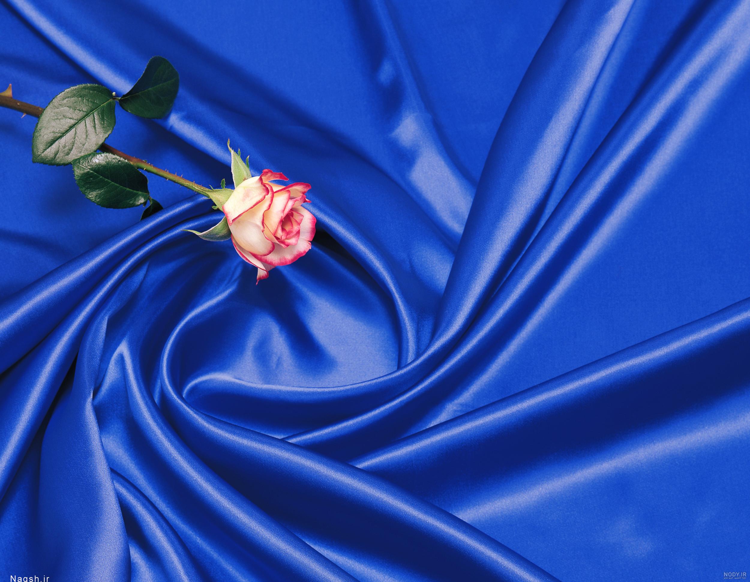 غنچه گل رز آبی a1142 09129410059- ارسال دسته گل در محل تهران 09129410059