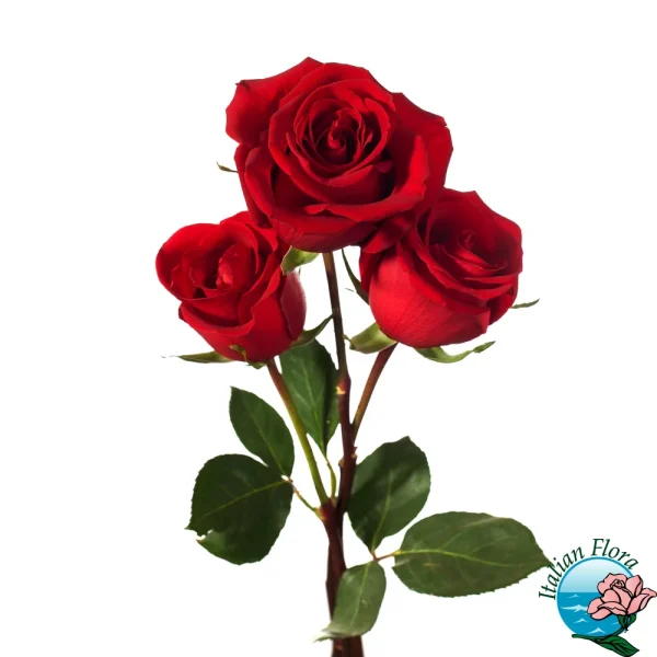 متن درباره هدیه دادن + عکس نوشته هدیه به خودم متن درباره هدیه دادن + عکس نوشته هدیه به خودم