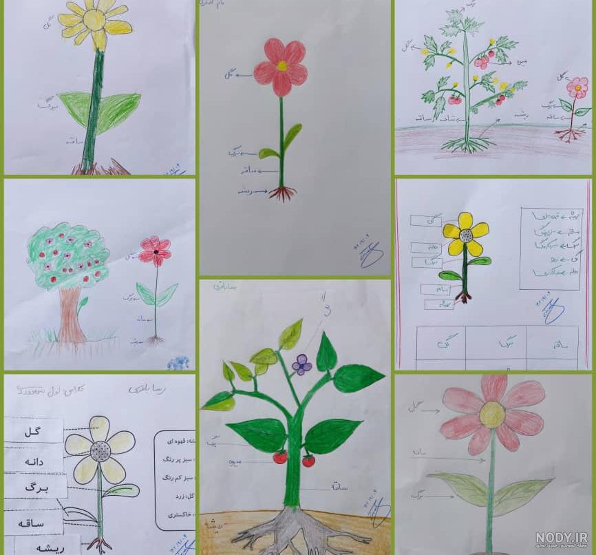 نقاشی گل : 50 طرح گل برای رنگ آمیزی کودکان نقاشی گل : 50 طرح گل برای رنگ آمیزی کودکان