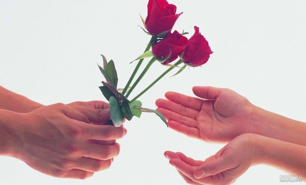 هدیه دادن گل |چر ا گل هدیه دهیم؟چه اثری بر گیرنده دارد هدیه گل به همسر| فلوریا هدیه دادن گل |چر ا گل هدیه دهیم؟چه اثری بر گیرنده دارد هدیه گل به همسر| فلوریا