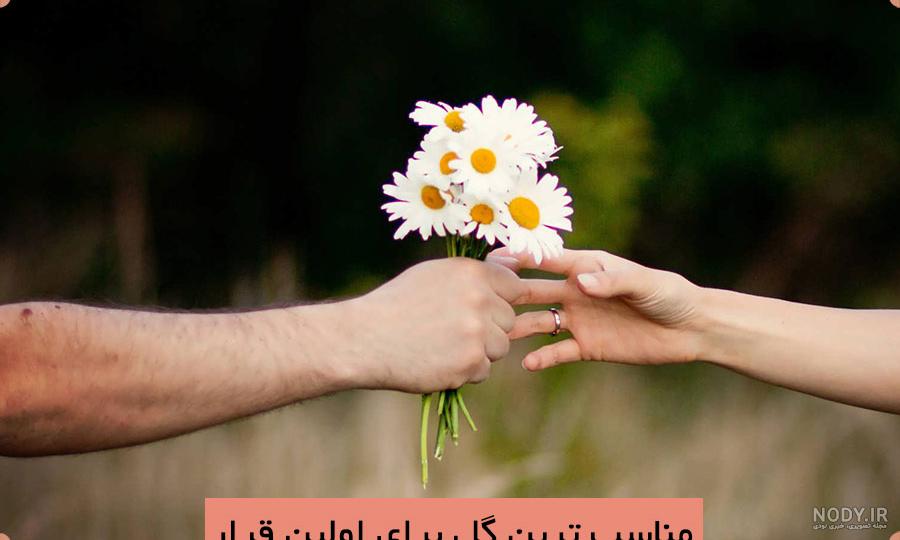 گل های زیبا و معنی آن ها برای هدیه دادن (عکس) گل های زیبا و معنی آن ها برای هدیه دادن (عکس)