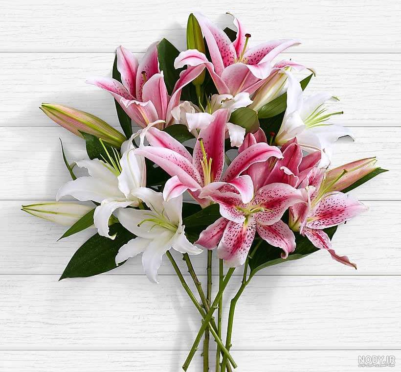 گل لیلیوم ارکولانو Lily ERCOLANO سفید - لادیشو - شرکت تولیدی برگ سبز دهاقان گل لیلیوم ارکولانو Lily ERCOLANO سفید - لادیشو - شرکت تولیدی برگ سبز دهاقان