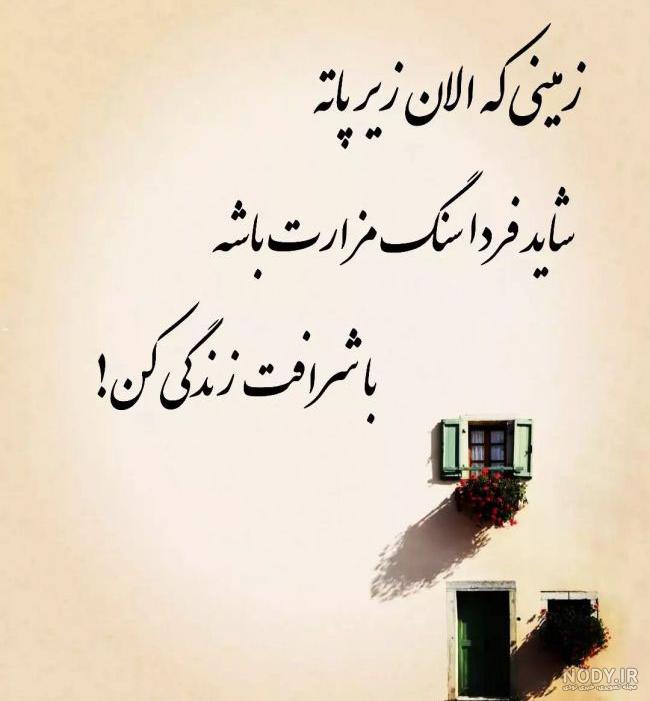 عکس گل برای پروفایل روبیکا