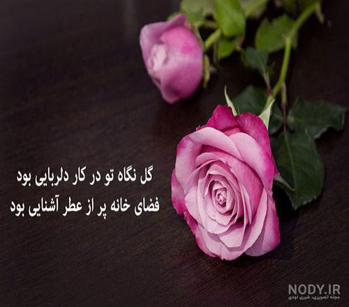 عکس خفن عکس گل و بلبل برای پروفایل