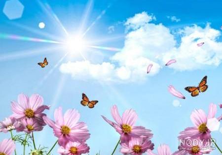 عکس خفن عکس گل و بلبل برای پروفایل