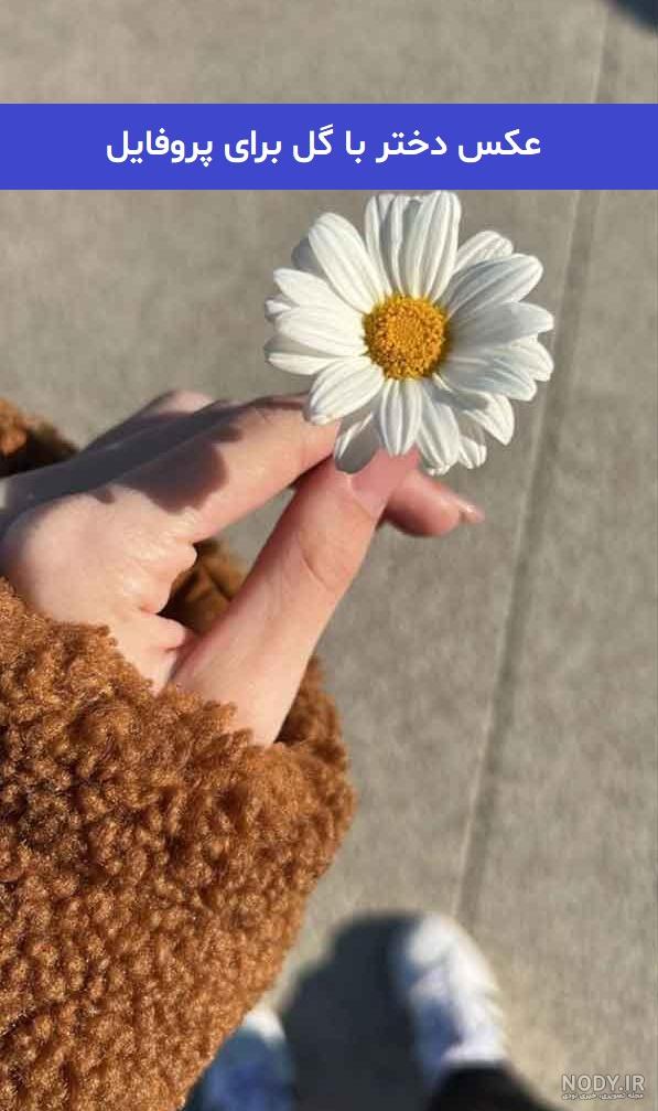 50 عکس گل و پروفایل گل زیبا برای واتساپ و تلگرام - Tjoor