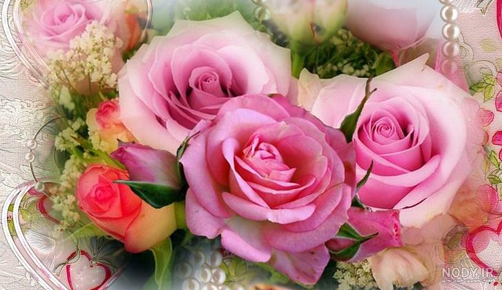 130 عکس گل🌺دانلود مجموعه عکس گل زیبا جدید با کیفیت بالا