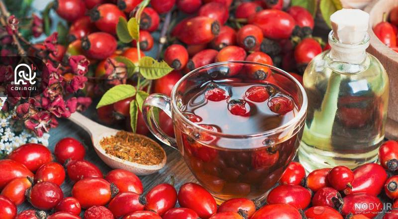 آشنایی با درخت نسترن زرد و نحوه نگهداری آن آشنایی با درخت نسترن زرد و نحوه نگهداری آن