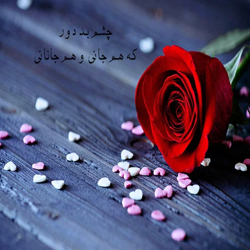 آلبوم عکس گل های زیبا و عاشقانه برای پروفایل (2) - تــــــــوپ تـــــــــاپ