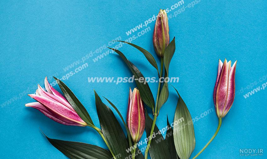 تابلو فرش دستباف طرح گل گلدان فیروزه ای (163_52) جهان فرش