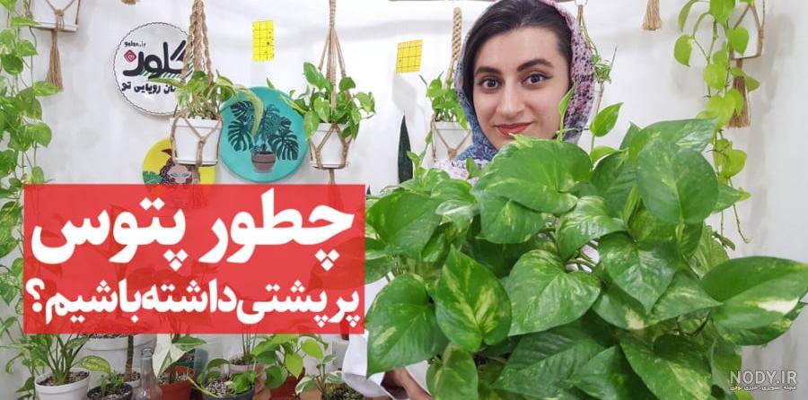 تزیین پتوس روی دیوار با این 38 ایده چشم‌گیر - چیدانه