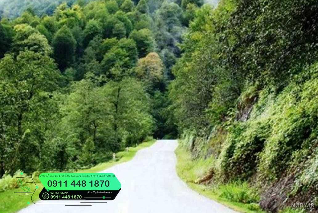 جاده‌ های زیبای شمالی | رویایی‎‌ترین جاده‌های شمال کشور