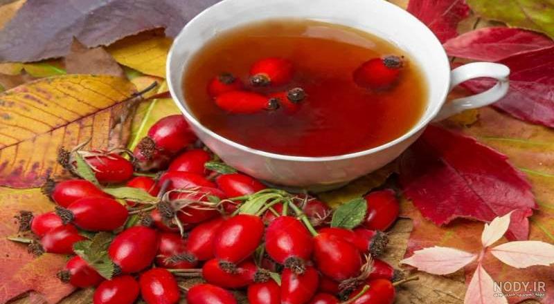 جالب ترین خواص گل نسترن که بی خبرید!! جالب ترین خواص گل نسترن که بی خبرید!!