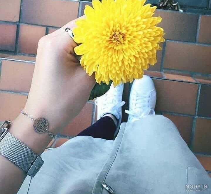جدیدترین عکس گل زیبا و خاص برای صفحه مجازی خود و یا استوری - گلی خانوم جدیدترین عکس گل زیبا و خاص برای صفحه مجازی خود و یا استوری - گلی خانوم