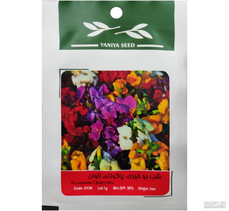 خرید و قیمت بذر گل شب بو شاخه بریده پیلاستر لاوندر هلندی بسته 30 عددی | ترب خرید و قیمت بذر گل شب بو شاخه بریده پیلاستر لاوندر هلندی بسته 30 عددی | ترب