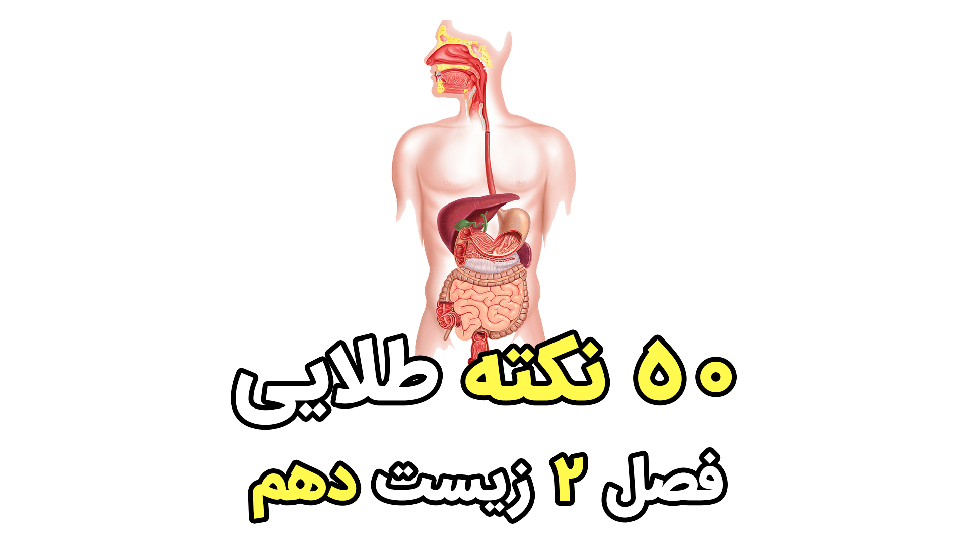 خرید و قیمت کتاب تست زیست شناسی دهم کنکور 1406 خیلی سبز