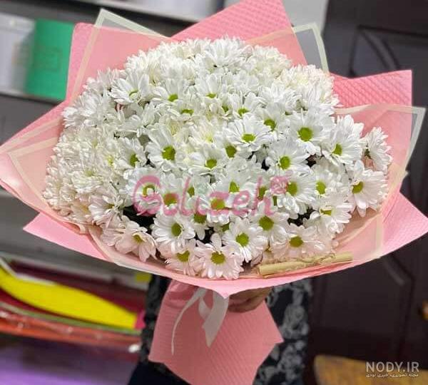خرید گل داوودی خوشه ای [به قیمت عمده] در رزپک🌹