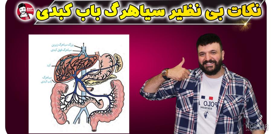 خلاصه فصل 2- زیست شناسی دهم- گوارش و جذب مواد - کیوزیست آموزش زیست شناسی  کنکور