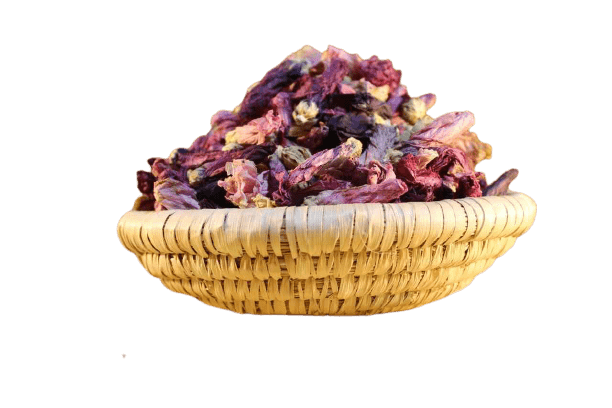 خواص انواع گل ختمی + طرز تهیه دمنوش و شامپو گل ختمی برای مو! خواص انواع گل ختمی + طرز تهیه دمنوش و شامپو گل ختمی برای مو!