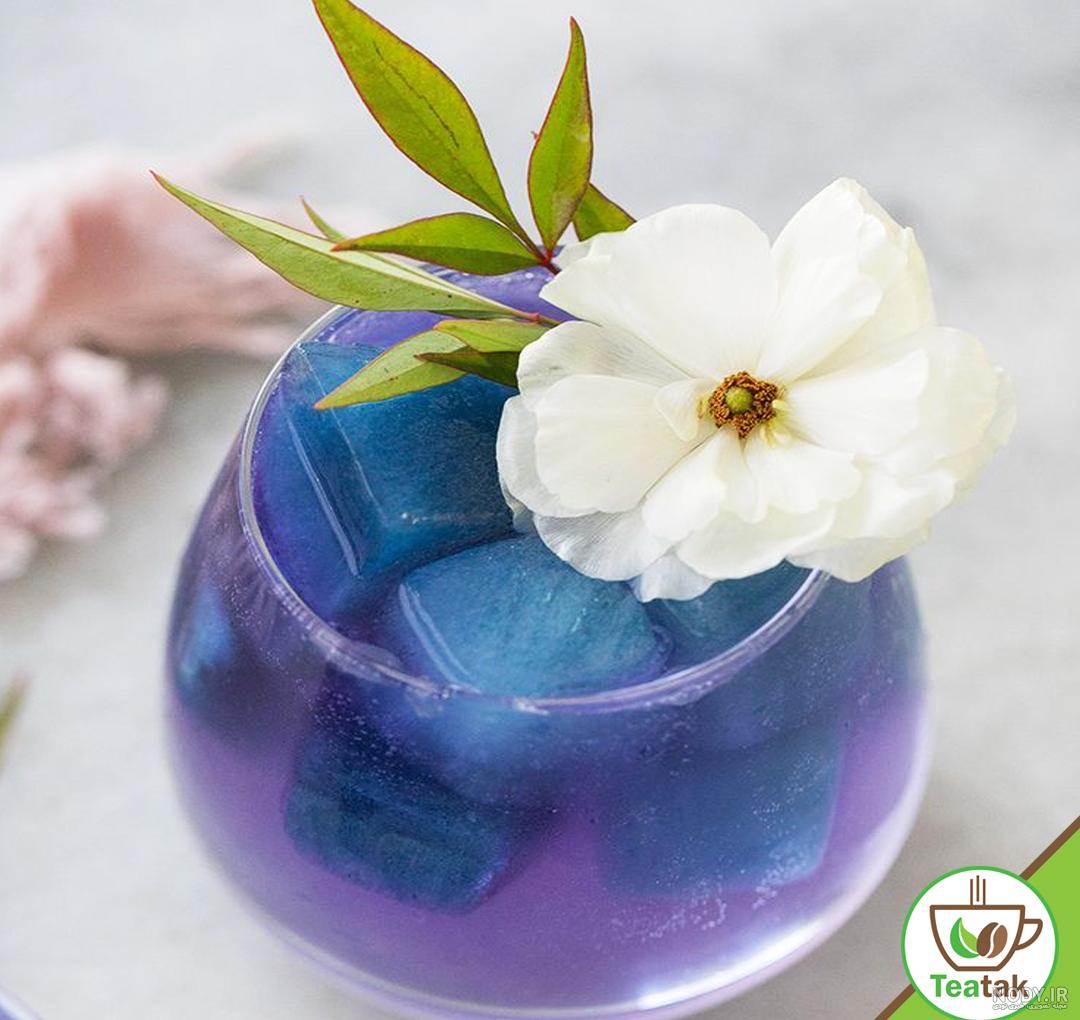 خواص درمانی شگفت انگیز گل گاو زبان Borago officinalis خواص درمانی شگفت انگیز گل گاو زبان Borago officinalis