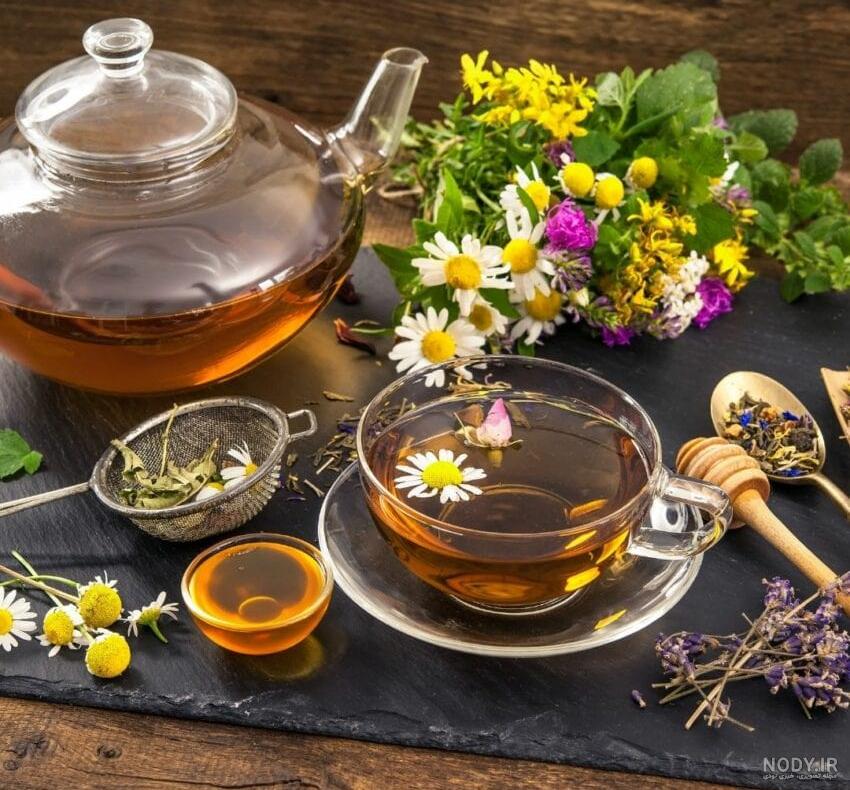 خواص چای کوهی + طرز تهیه و میزان مجاز چای کوهی برای لاغری خواص چای کوهی + طرز تهیه و میزان مجاز چای کوهی برای لاغری