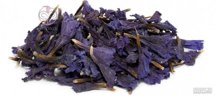 خواص گیاه گاوزبان چیست + همه چیز در مورد خواص این گیاه دارویی - ستاره خواص گیاه گاوزبان چیست + همه چیز در مورد خواص این گیاه دارویی - ستاره