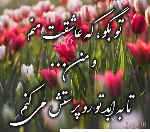 دانلود تصاویر زیباترین گل های جهان با کیفیت HD دانلود تصاویر زیباترین گل های جهان با کیفیت HD