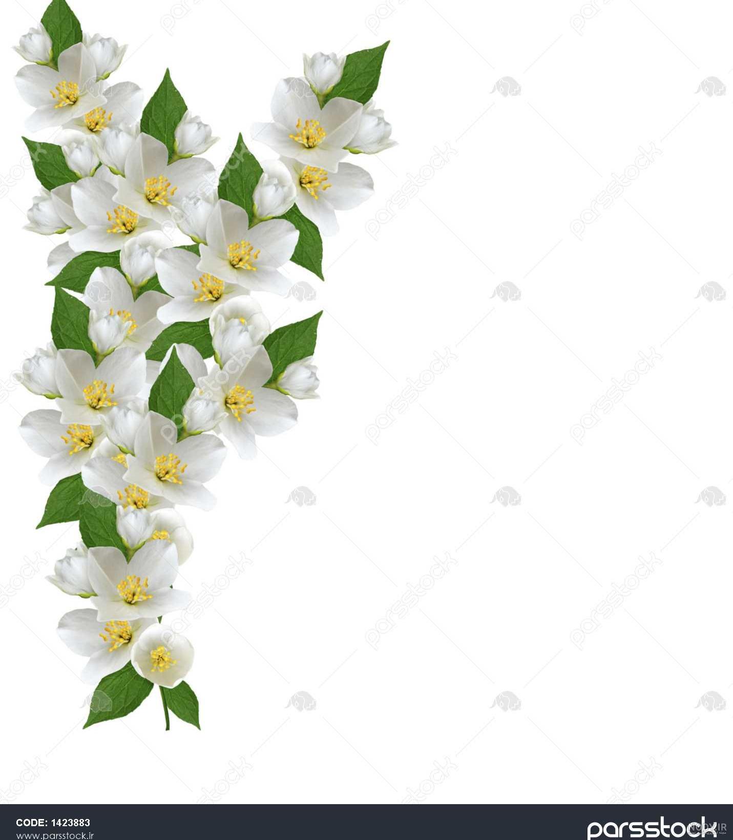 دانلود عکس گرافیکی گل خوشه ای بنفش | تیک طرح مرجع گرافیک ایران دانلود عکس گرافیکی گل خوشه ای بنفش | تیک طرح مرجع گرافیک ایران