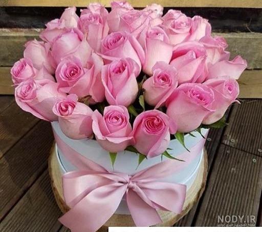 دانلود عکسهای گلهای زیبای جهان - عکس نودی
