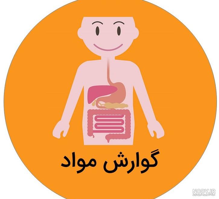 دانلود پاورپوینت گوارش و جذب مواد- فصل دوم زیست شناسی 1 دهم تجربی