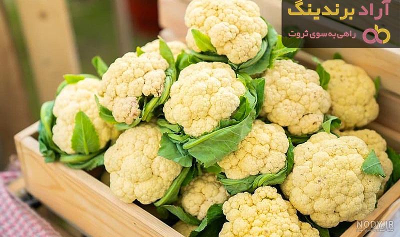 دستور تهیه ی گل کلم سرخ شده مخصوص گیاهخواران در منزل - آشپزی ها دستور تهیه ی گل کلم سرخ شده مخصوص گیاهخواران در منزل - آشپزی ها