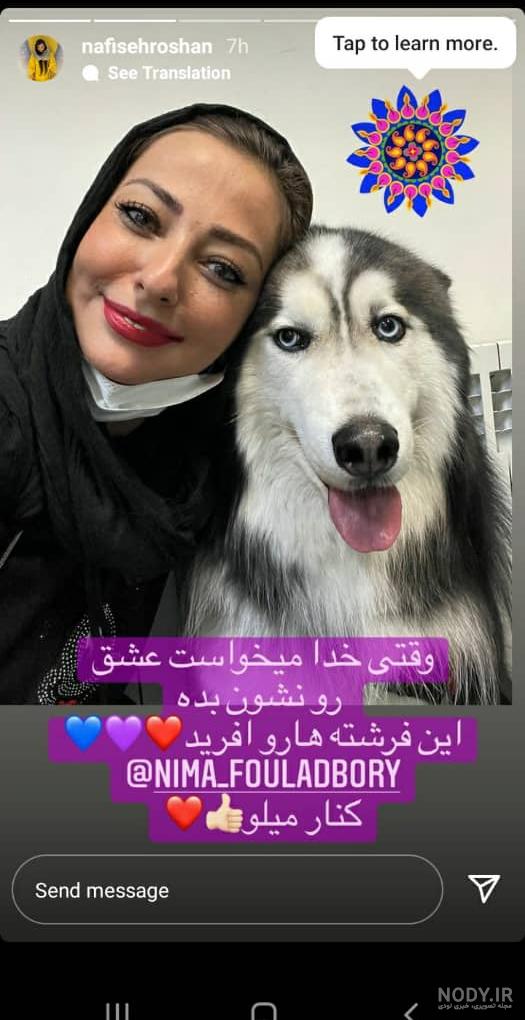 سگ سرابی سیاه به نام آشیل سگ سرابی سیاه به نام آشیل