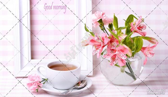 عکس دکتر جواد گل چای رشت عکس دکتر جواد گل چای رشت