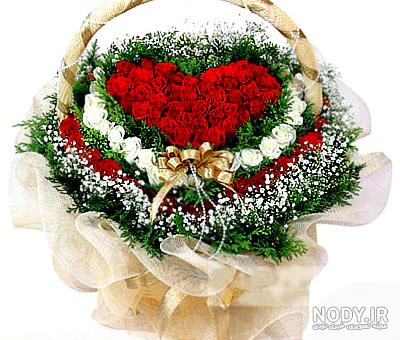 عکس سبد گلهای زیبا - عکس نودی عکس سبد گلهای زیبا - عکس نودی