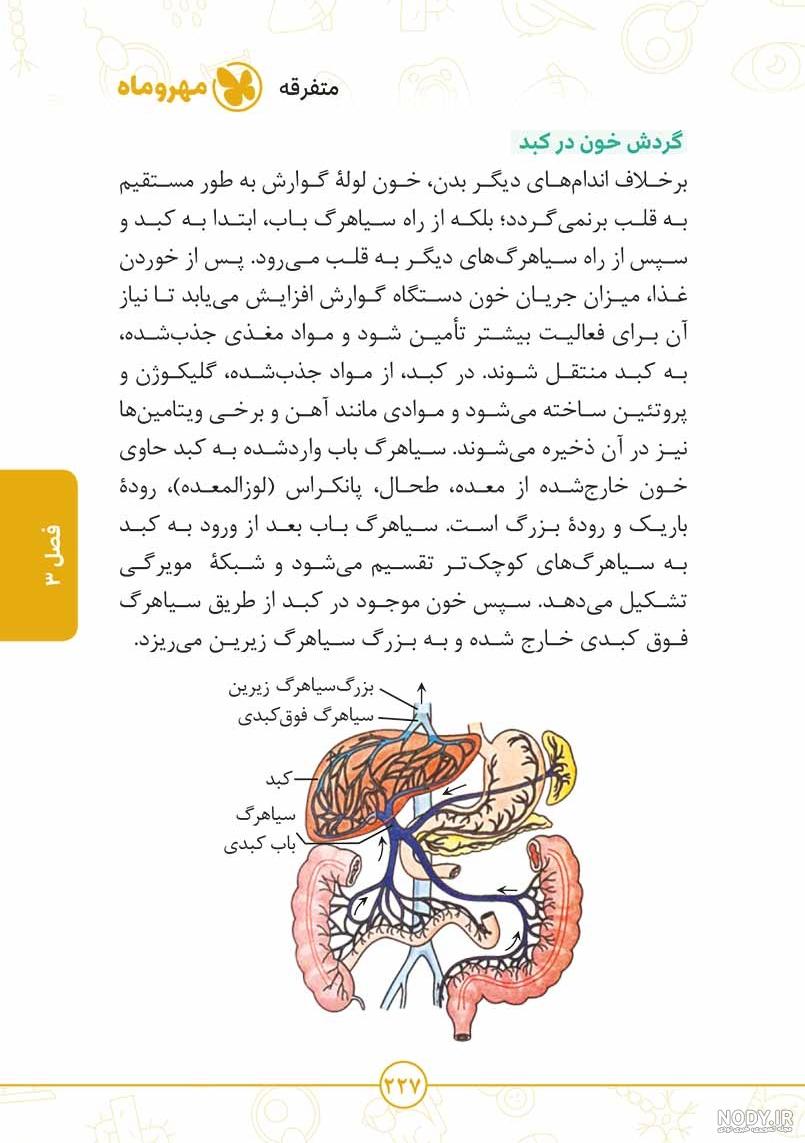 عکس سیاهرگ باب زیست دهم